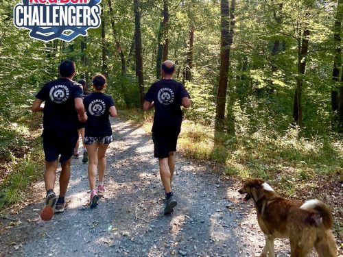 RED BULL CHALLENGERS #ŞEHREİZİNİBIRAK RDM WILD