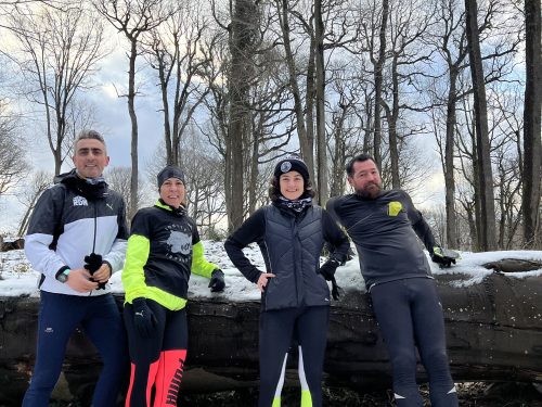 RDM WILD AYVAT BENDİ