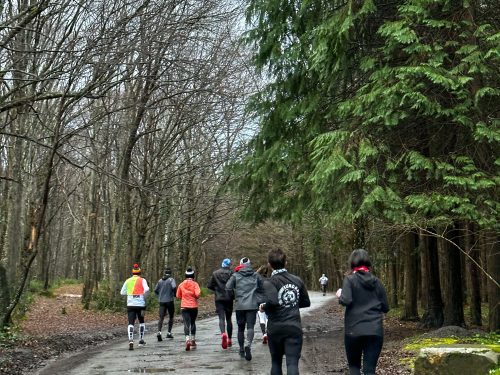 RDM WILD AYVAT BENDİ