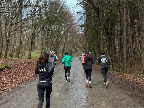 RDM WILD AYVAT BENDİ