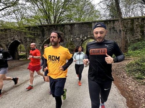 RDM WILD AYVAT BENDİ