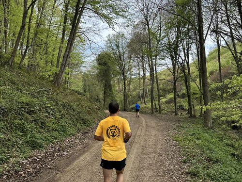 RDM WILD AYVAT BENDİ