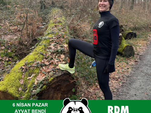 RDM WILD AYVAT BENDİ