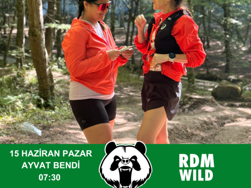 RDM WILD AYVAT BENDİ